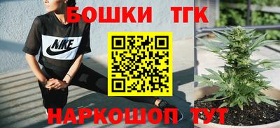 индика Рыбинск