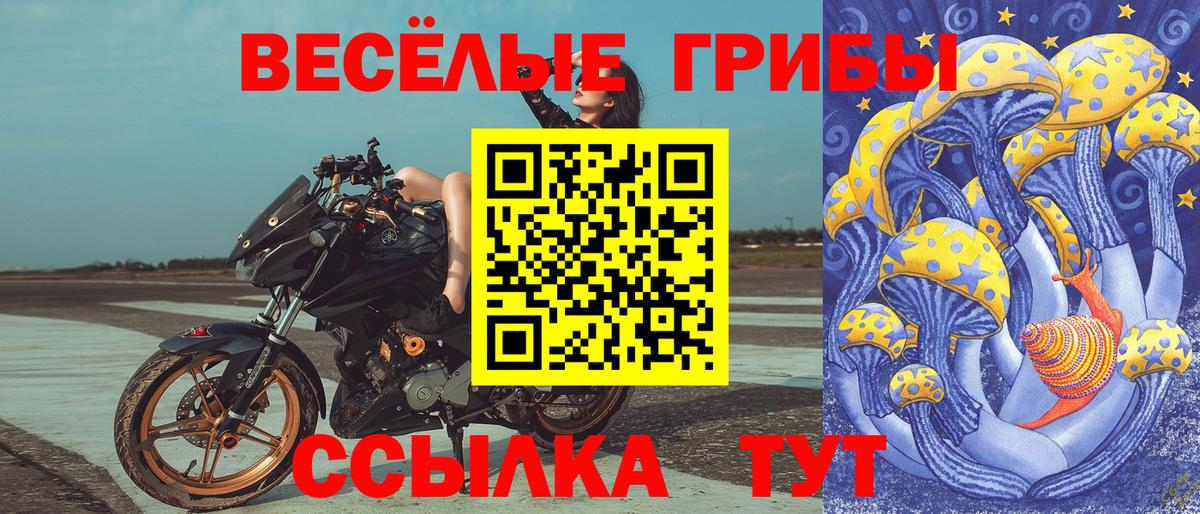 Галлюциногенные грибы Cubensis  Вход с VPN  Сафоново 