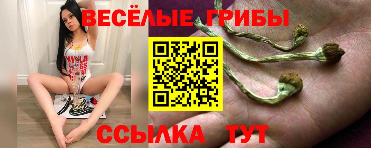 Псилоцибиновые грибы ЛСД Сафоново