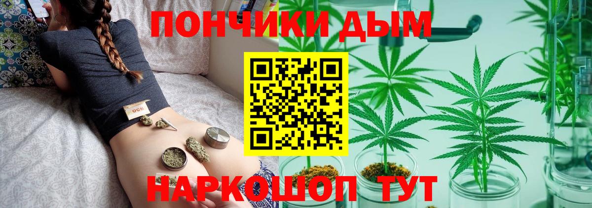 Конопля индика  Марихуана гибрид  МАРИХУАНА планчик  Бошки марихуана семена  Сафоново  Вход с VPN 